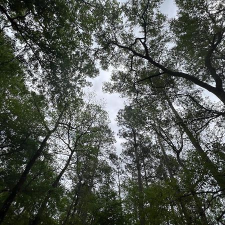 2 Bdrm Treehouse Hideout- Lake Conroe With Boat Ramp Montgomery Eksteriør billede